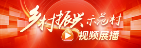 鄉村振興示范村視頻展播